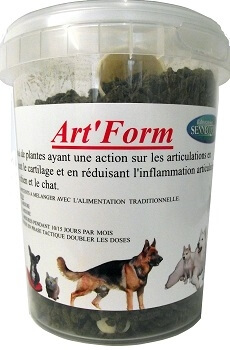 chien-articulations-douleurs-souplesse-plantes - forme - laboratoire bonne- chien douleurs articulaires