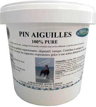 Aiguille de pin cheval