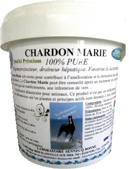 CHARDON MARIE GRAINE CONCASSEE