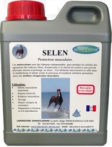 sélénium chevaux  - muscles cheval - anti oxydant cheval - VITAMINE E - LYSINE -